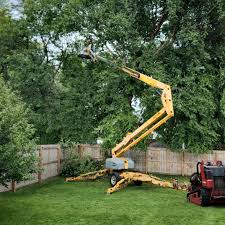 Best Emergency Tree Removal  in Elk Plain, WA